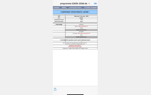 championnat départemental avenir 1 à chinon  